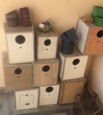 Breeding Boxes and Matkis