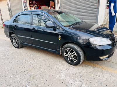 see sloan Toyota Corolla Altes