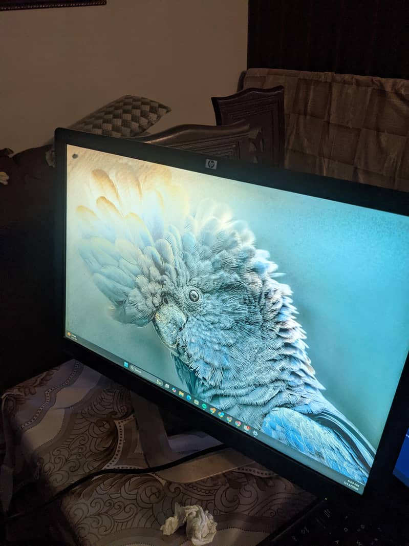 HP Led screen 1