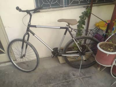 Phoenix Bicycle for sale