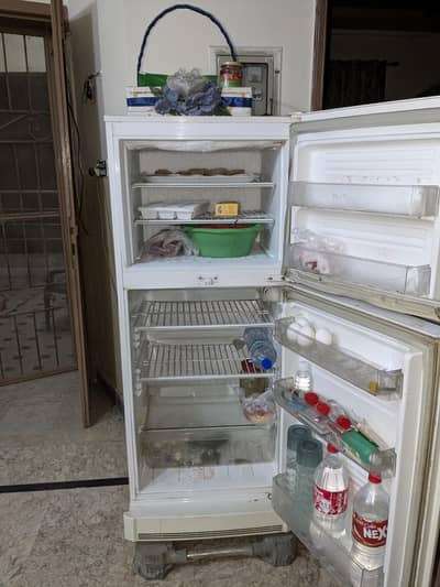 PEL Desire Infinire Fridge