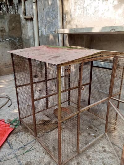 big cage dog got hen  special cage for all size