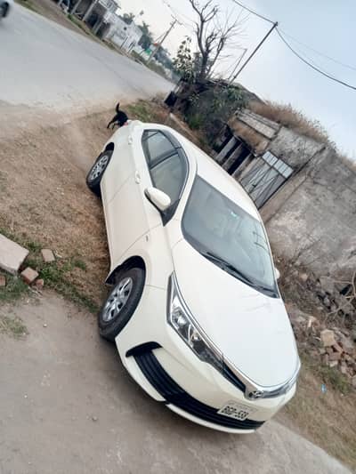 Toyota Corolla GLI 2019 Manual