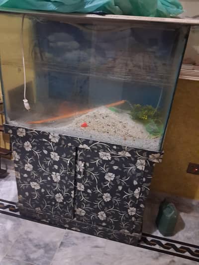 liaquatabad  karachi arshi chock