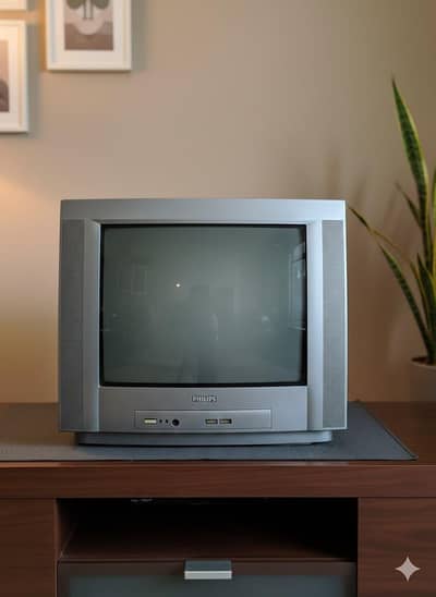 Product Title: Philips 14" Vintage CRT TV – Pristine A1 Condition