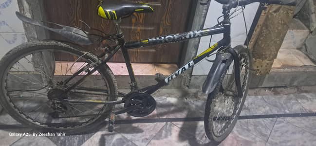 Phoenix cycle for sale