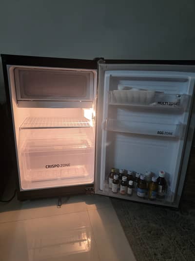 Pel Mini Fridge