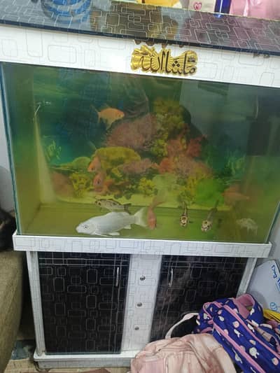 Sale Aquarium 19000