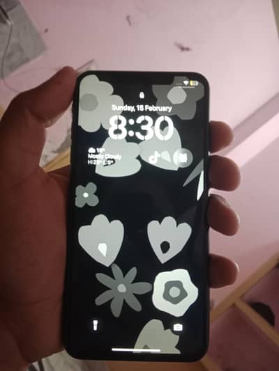 xsmax exchange possible