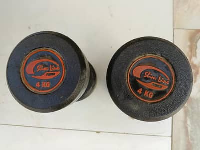 4 KG RUBBER COATED PAIR