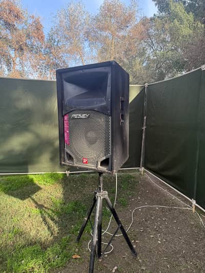 Peavey SP2 Imported 1000W Passive Speaker (Army Officer Used)