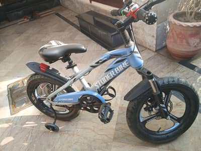 gears, light, brakes, bell, tube tyres