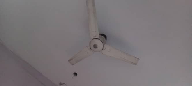 Ceiling Fan – Full Working – No problem