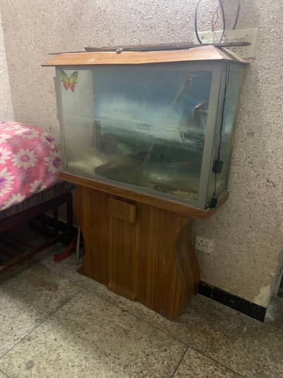 aquarium 1x2.7ft full size