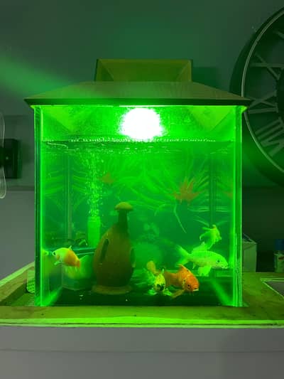 Fish Aquarium for sell