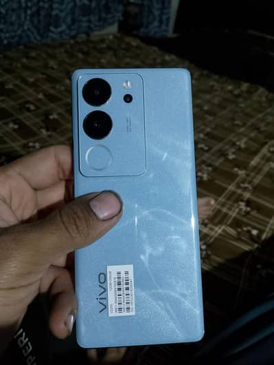 burewala 03297629489