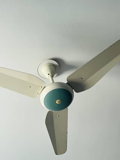 FAN CEILING FAN
