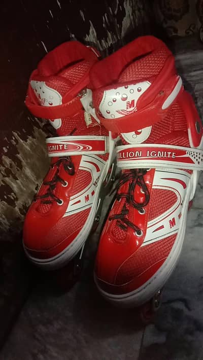 skates shoes for sale in reasonable prize