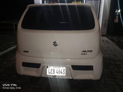 chat Pilar bount dagi original