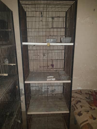 Cage For Sale  1.5 By 2 All Okay Good  Condition  11 Number Wire