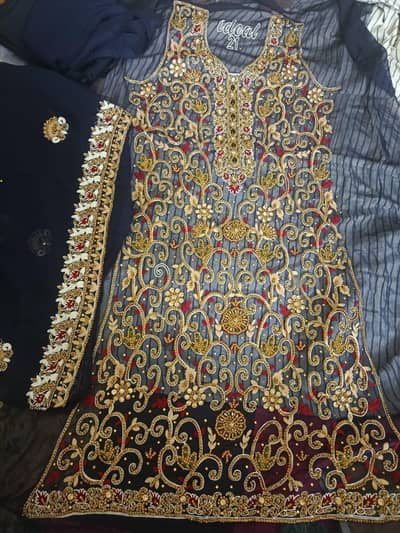 Chiffon, embroided party dress,