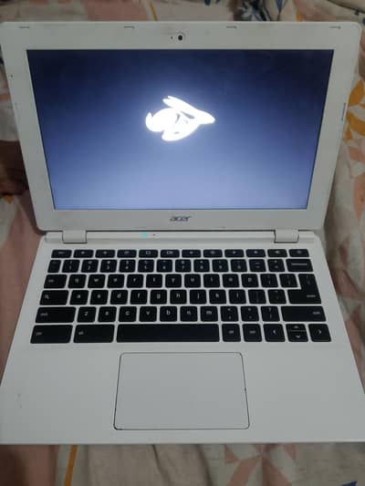 Acer Chromebook Windows Spotted