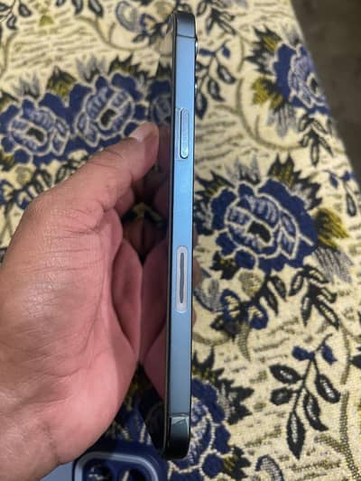 12 promax dual approved +esim