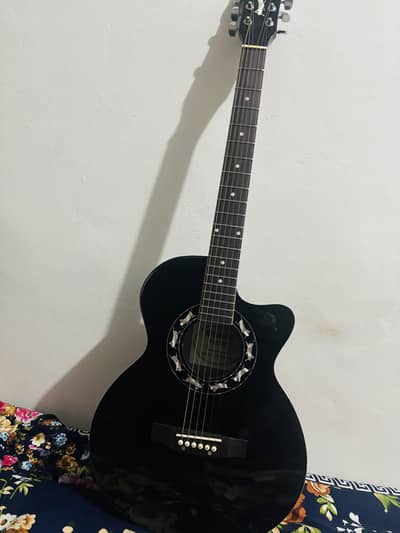 Trus road acoustic guitar with wooden fred board