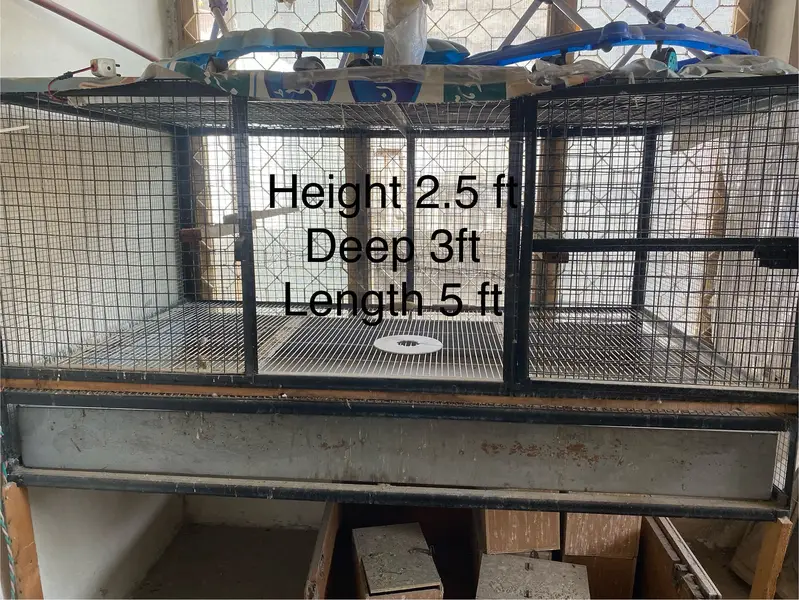 Hens cages — photo 2