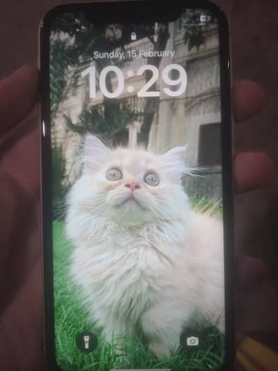 Iphone XR Factory Unlocked