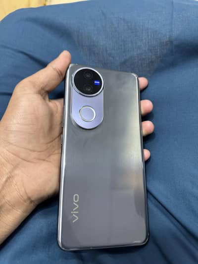 Vivo v50 5g  /12/512