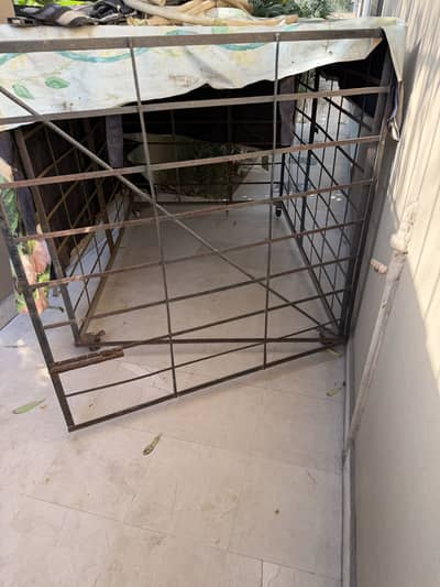 Dog Cage 4ft by 5.5ft