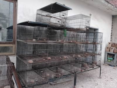 only cages set for sale