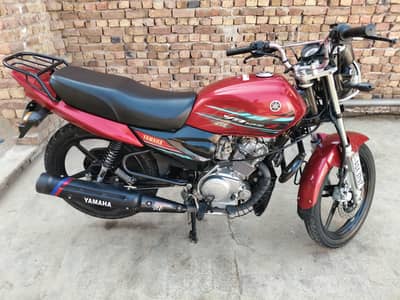 Yamaha ybz dx 2023 fresh bike