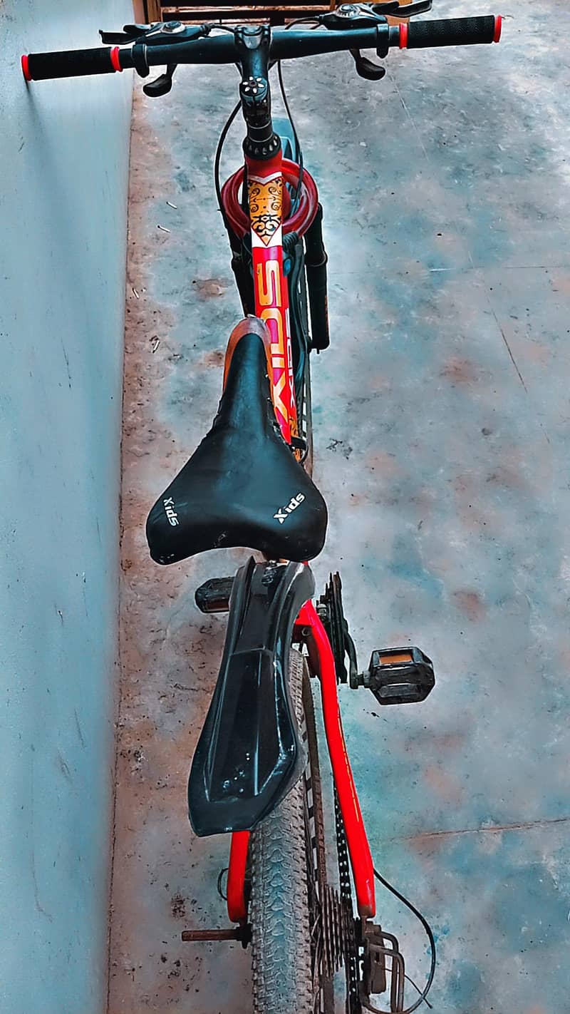 xids cycle 1