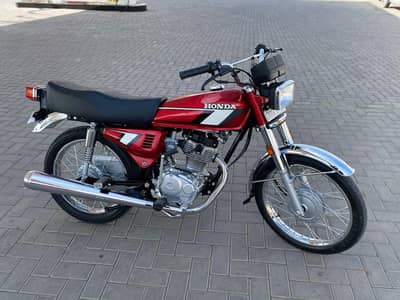 All punjab No Dubal Saman