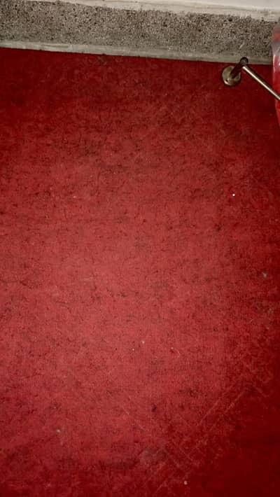 Red Colr Carpet Size 12/14 For Sale.