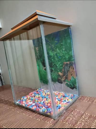 Aquarium