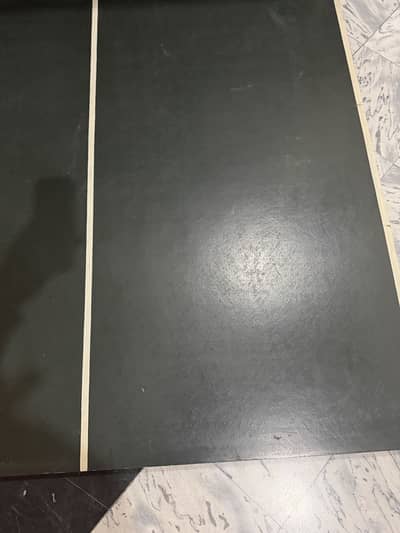 Table tennis table for cheap