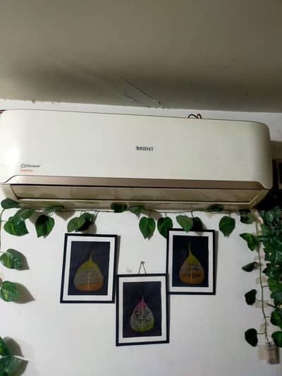 urgent sale only serious buyer contact