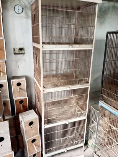Parrot Cages Tower/Flat