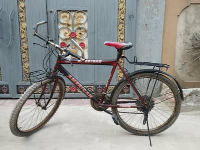 An American Sports Cycle