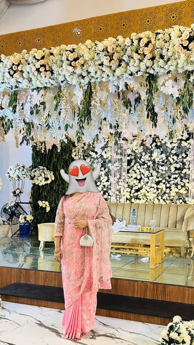 Baby pink and silver saree