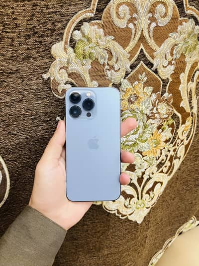 13 pro dual pta waterpack