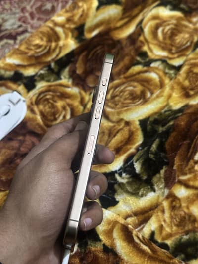 16 promax non pta factory unlock256gb 4month sim time available