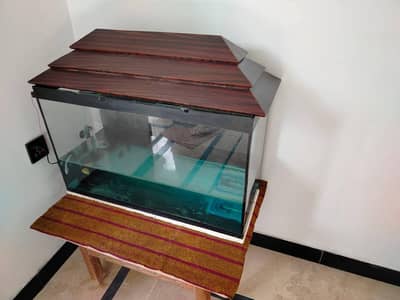 Aquarium & Fish's for Sale,