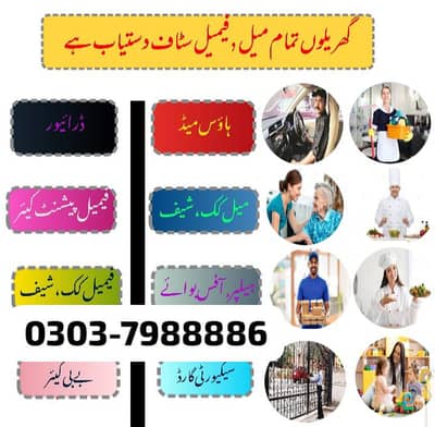 |Cheff/Cook| House Maid| Babysitter |Patient care |