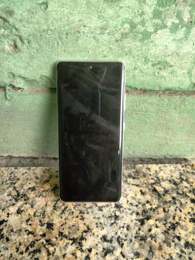 samsung S21 Ultra  panel