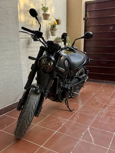 Benelli Leoncino 500 (read ad)