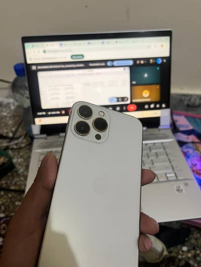 13 Pro Max (Golden, 256GB ,Factory Unlock )